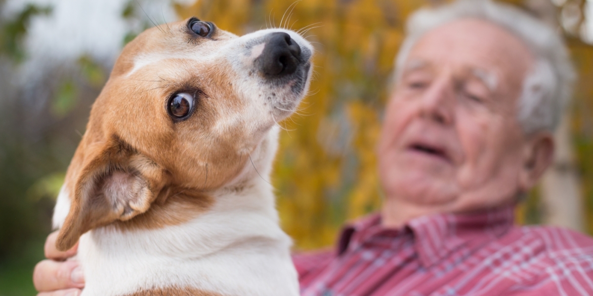 Σκύλοι-θεραπευτές προσφέρουν φροντίδα και αγάπη σε ηλικιωμένους