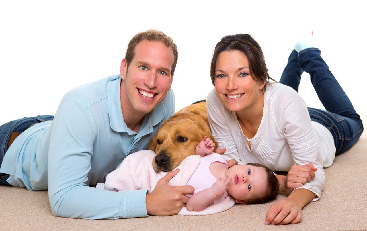 Στο σπίτι με το μωρό: Προετοιμάστε τον σκύλο για τη μέρα της πρώτης γνωριμίας