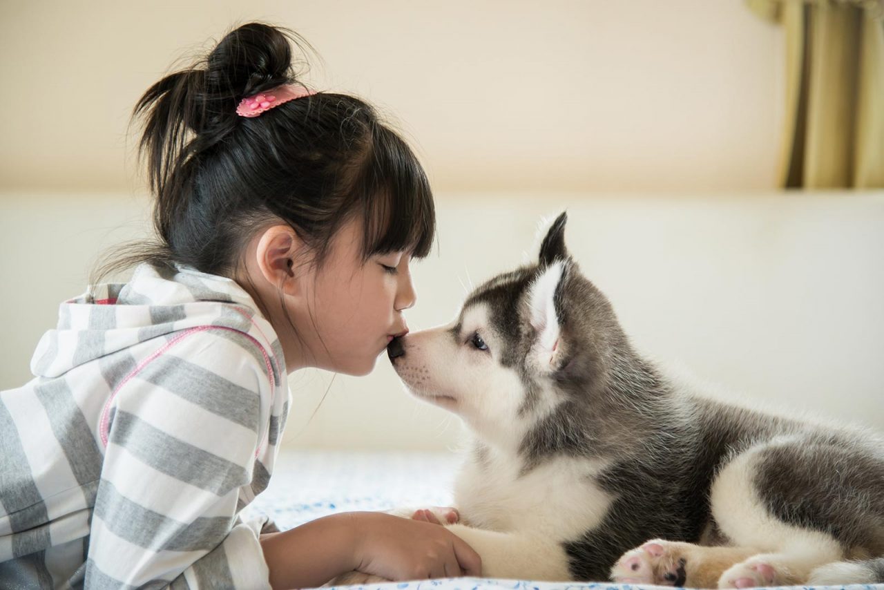 Οκτώ κανόνες για μια αρμονική σχέση ανάμεσα στο παιδί και τον σκύλο